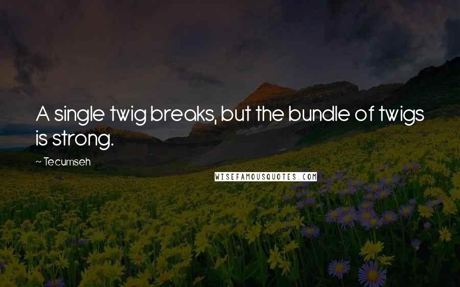 Tecumseh Quotes: A single twig breaks, but the bundle of twigs is strong.