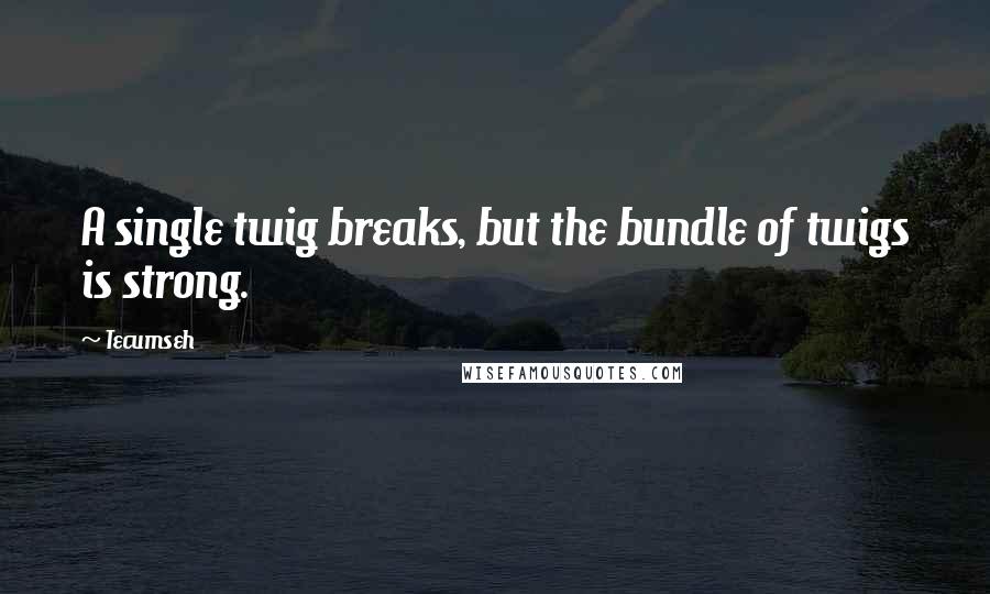 Tecumseh Quotes: A single twig breaks, but the bundle of twigs is strong.