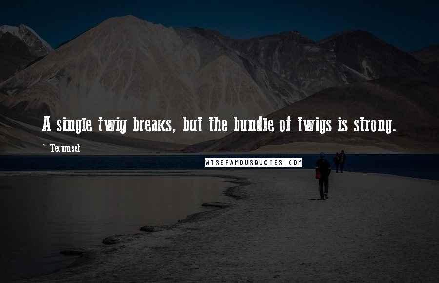 Tecumseh Quotes: A single twig breaks, but the bundle of twigs is strong.