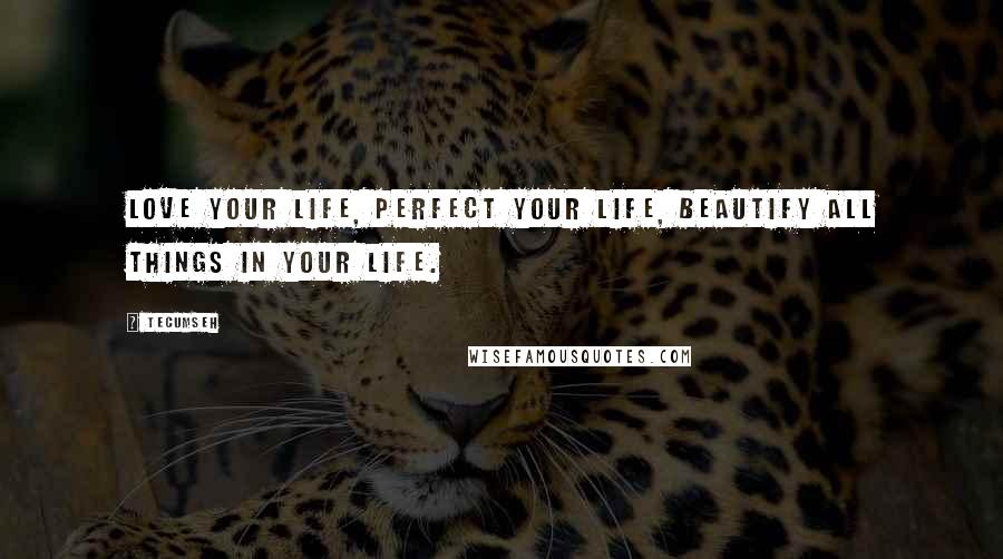 Tecumseh Quotes: Love your life, perfect your life, beautify all things in your life.