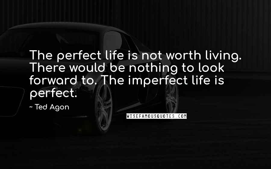 Ted Agon Quotes: The perfect life is not worth living. There would be nothing to look forward to. The imperfect life is perfect.