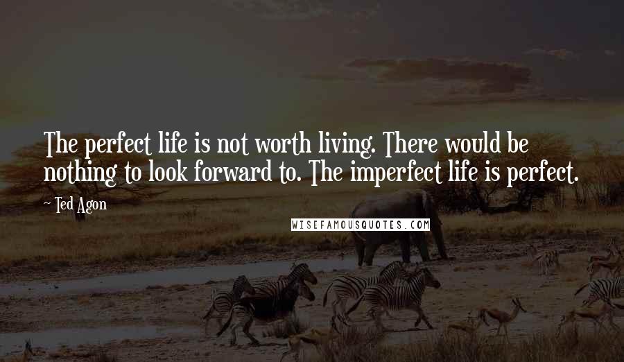 Ted Agon Quotes: The perfect life is not worth living. There would be nothing to look forward to. The imperfect life is perfect.