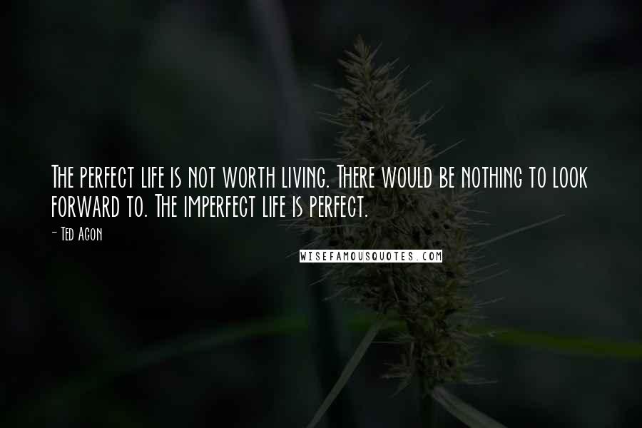 Ted Agon Quotes: The perfect life is not worth living. There would be nothing to look forward to. The imperfect life is perfect.