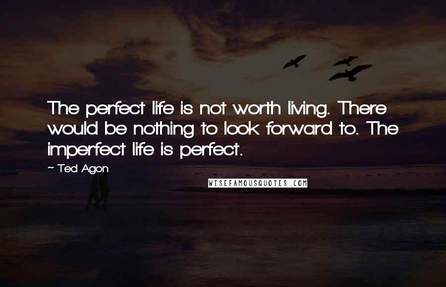 Ted Agon Quotes: The perfect life is not worth living. There would be nothing to look forward to. The imperfect life is perfect.