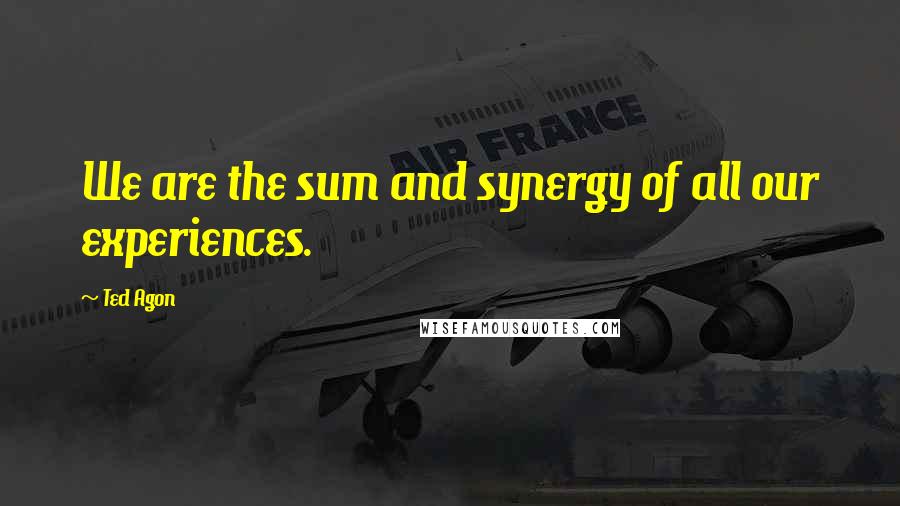 Ted Agon Quotes: We are the sum and synergy of all our experiences.