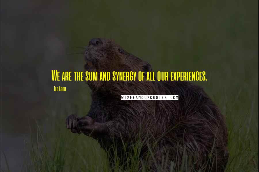 Ted Agon Quotes: We are the sum and synergy of all our experiences.