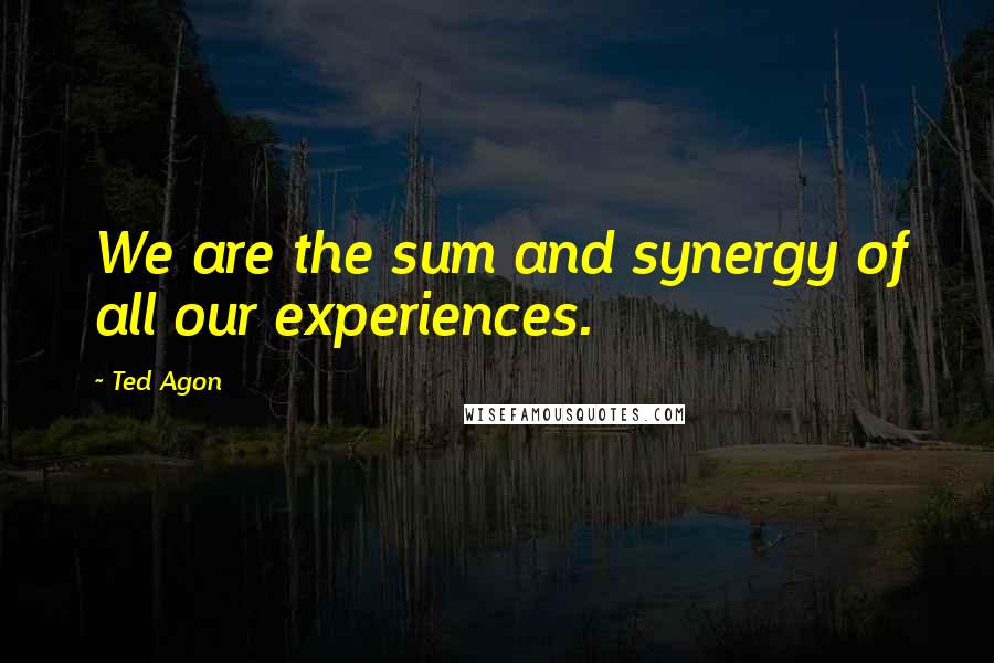 Ted Agon Quotes: We are the sum and synergy of all our experiences.