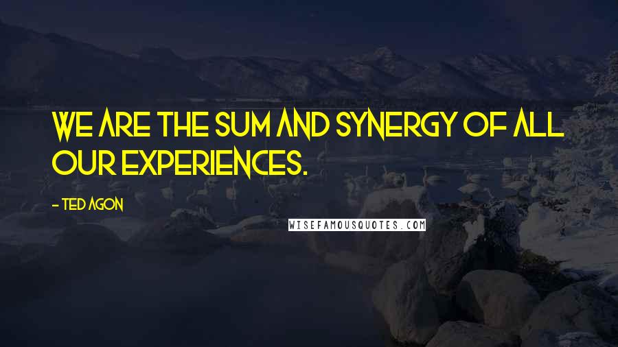 Ted Agon Quotes: We are the sum and synergy of all our experiences.