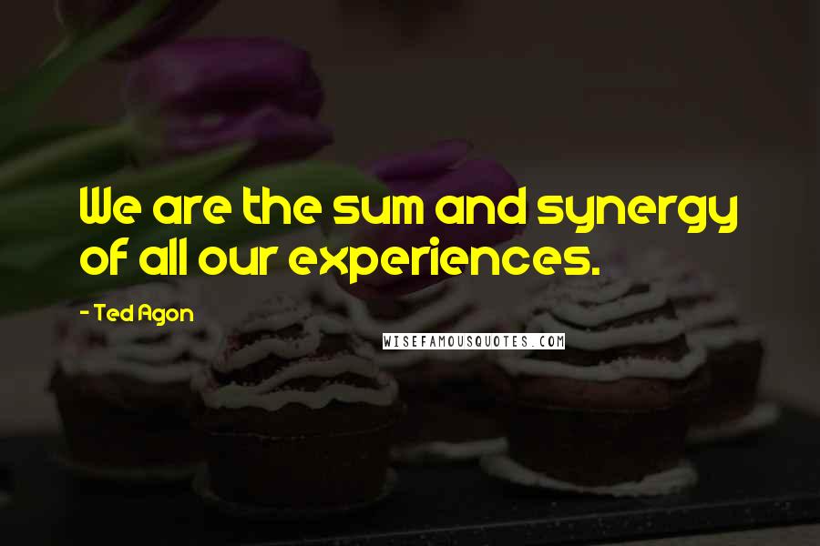 Ted Agon Quotes: We are the sum and synergy of all our experiences.