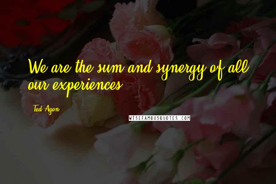 Ted Agon Quotes: We are the sum and synergy of all our experiences.