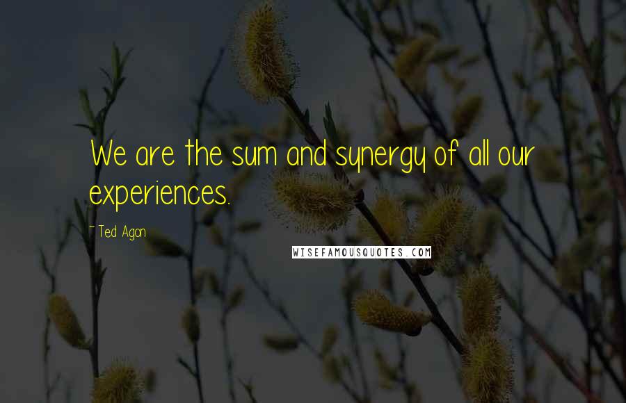 Ted Agon Quotes: We are the sum and synergy of all our experiences.
