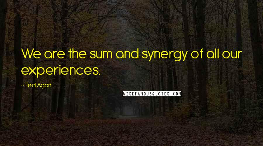 Ted Agon Quotes: We are the sum and synergy of all our experiences.