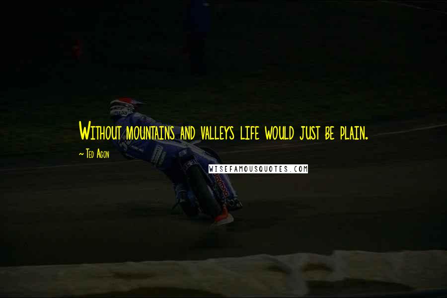 Ted Agon Quotes: Without mountains and valleys life would just be plain.