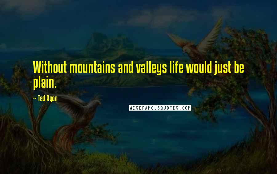 Ted Agon Quotes: Without mountains and valleys life would just be plain.