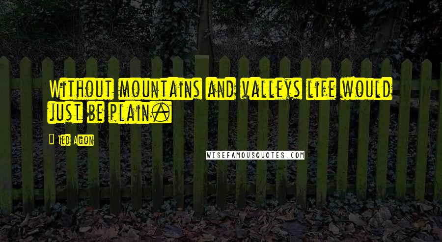 Ted Agon Quotes: Without mountains and valleys life would just be plain.