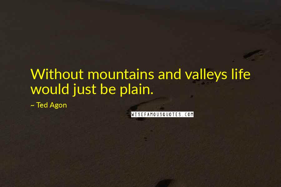 Ted Agon Quotes: Without mountains and valleys life would just be plain.