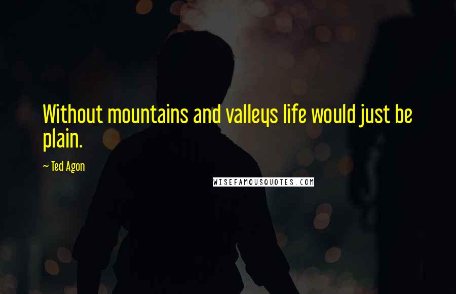 Ted Agon Quotes: Without mountains and valleys life would just be plain.