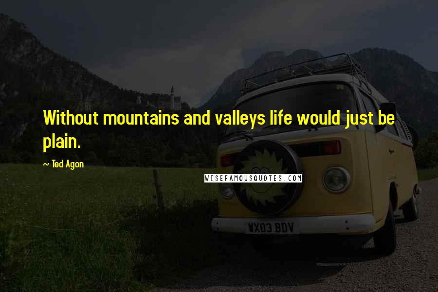 Ted Agon Quotes: Without mountains and valleys life would just be plain.