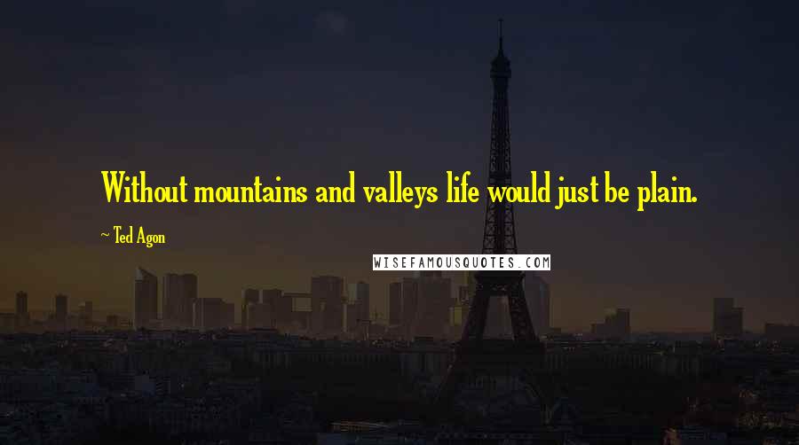 Ted Agon Quotes: Without mountains and valleys life would just be plain.