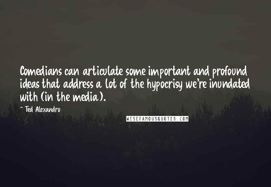 Ted Alexandro Quotes: Comedians can articulate some important and profound ideas that address a lot of the hypocrisy we're inundated with (in the media).