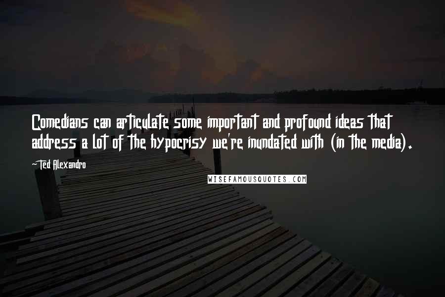 Ted Alexandro Quotes: Comedians can articulate some important and profound ideas that address a lot of the hypocrisy we're inundated with (in the media).