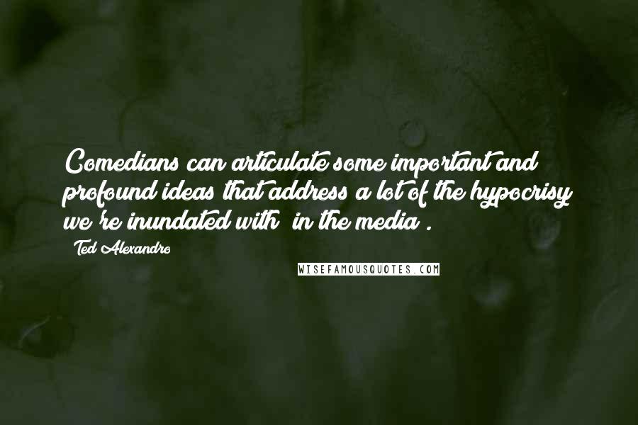 Ted Alexandro Quotes: Comedians can articulate some important and profound ideas that address a lot of the hypocrisy we're inundated with (in the media).