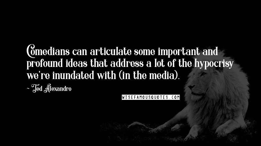 Ted Alexandro Quotes: Comedians can articulate some important and profound ideas that address a lot of the hypocrisy we're inundated with (in the media).