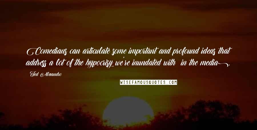 Ted Alexandro Quotes: Comedians can articulate some important and profound ideas that address a lot of the hypocrisy we're inundated with (in the media).