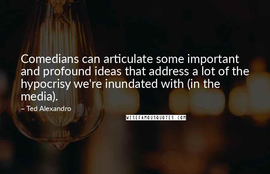 Ted Alexandro Quotes: Comedians can articulate some important and profound ideas that address a lot of the hypocrisy we're inundated with (in the media).