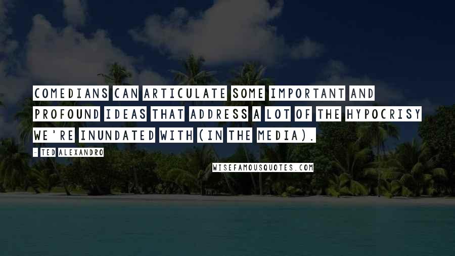 Ted Alexandro Quotes: Comedians can articulate some important and profound ideas that address a lot of the hypocrisy we're inundated with (in the media).