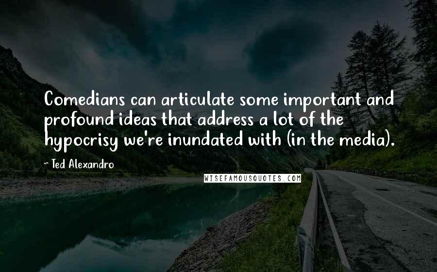 Ted Alexandro Quotes: Comedians can articulate some important and profound ideas that address a lot of the hypocrisy we're inundated with (in the media).