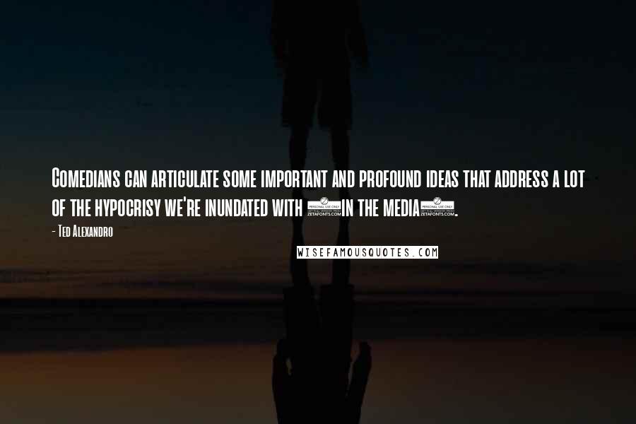 Ted Alexandro Quotes: Comedians can articulate some important and profound ideas that address a lot of the hypocrisy we're inundated with (in the media).