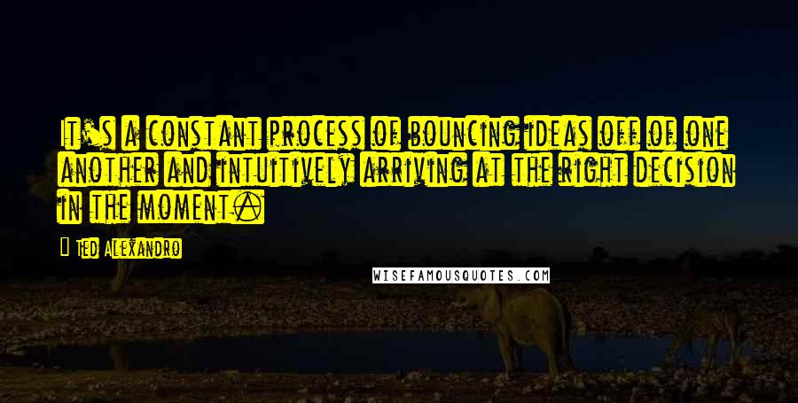 Ted Alexandro Quotes: It's a constant process of bouncing ideas off of one another and intuitively arriving at the right decision in the moment.