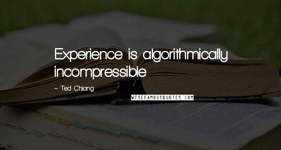 Ted Chiang Quotes: Experience is algorithmically incompressible.