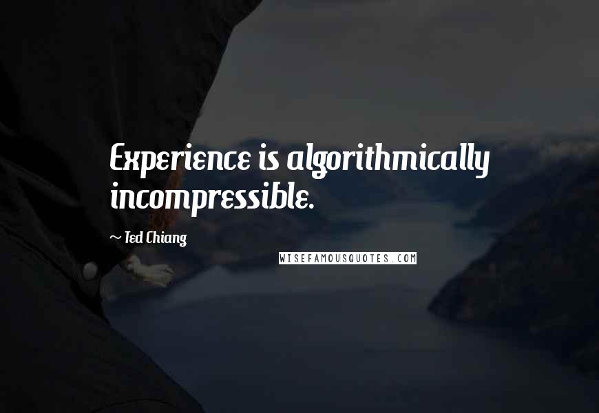 Ted Chiang Quotes: Experience is algorithmically incompressible.