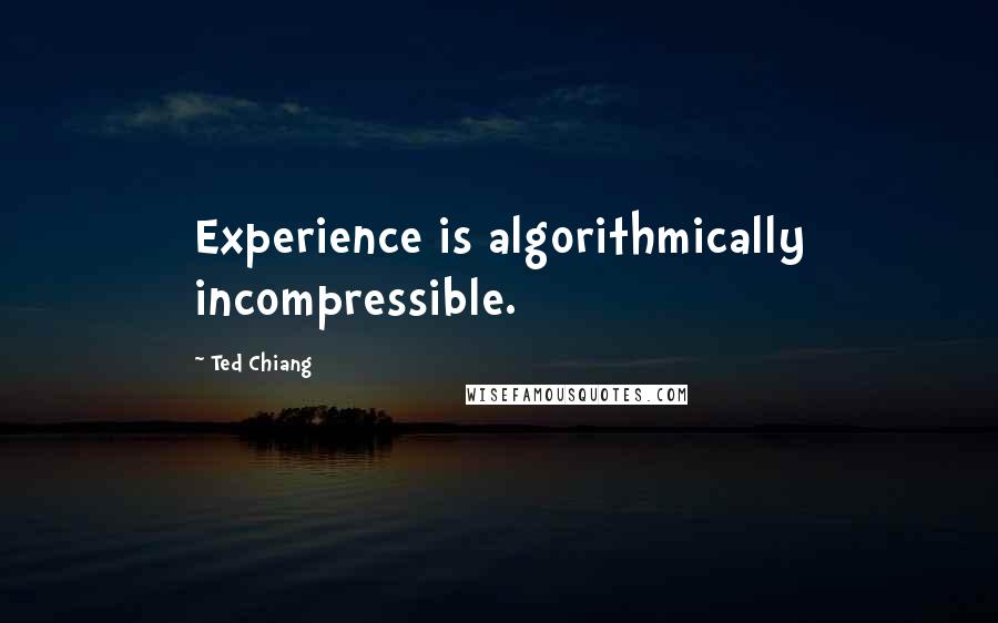 Ted Chiang Quotes: Experience is algorithmically incompressible.