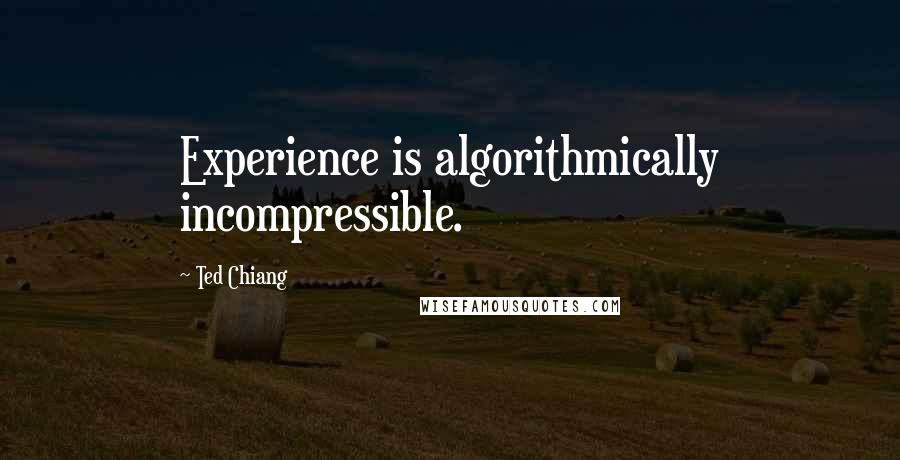 Ted Chiang Quotes: Experience is algorithmically incompressible.