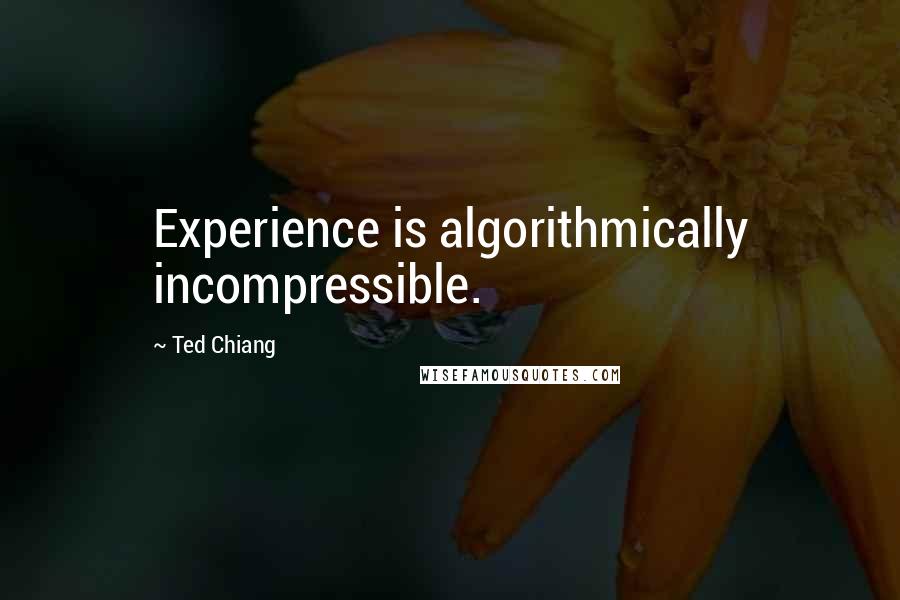 Ted Chiang Quotes: Experience is algorithmically incompressible.