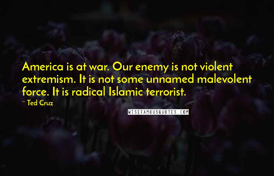 Ted Cruz Quotes: America is at war. Our enemy is not violent extremism. It is not some unnamed malevolent force. It is radical Islamic terrorist.