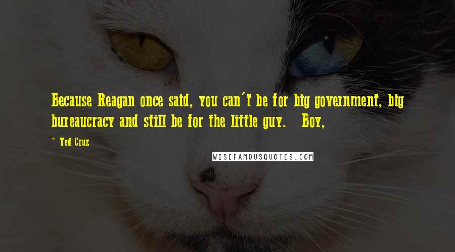 Ted Cruz Quotes: Because Reagan once said, you can't be for big government, big bureaucracy and still be for the little guy.   Boy,