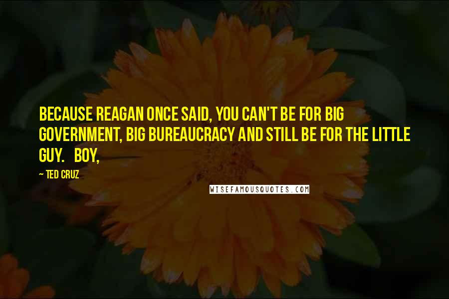 Ted Cruz Quotes: Because Reagan once said, you can't be for big government, big bureaucracy and still be for the little guy.   Boy,