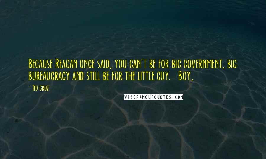 Ted Cruz Quotes: Because Reagan once said, you can't be for big government, big bureaucracy and still be for the little guy.   Boy,