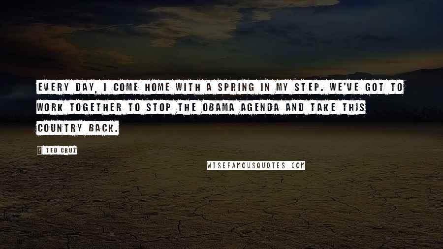 Ted Cruz Quotes: Every day, I come home with a spring in my step. We've got to work together to stop the Obama agenda and take this country back.