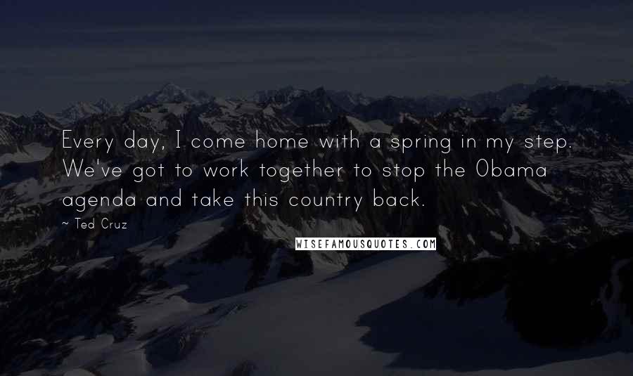 Ted Cruz Quotes: Every day, I come home with a spring in my step. We've got to work together to stop the Obama agenda and take this country back.