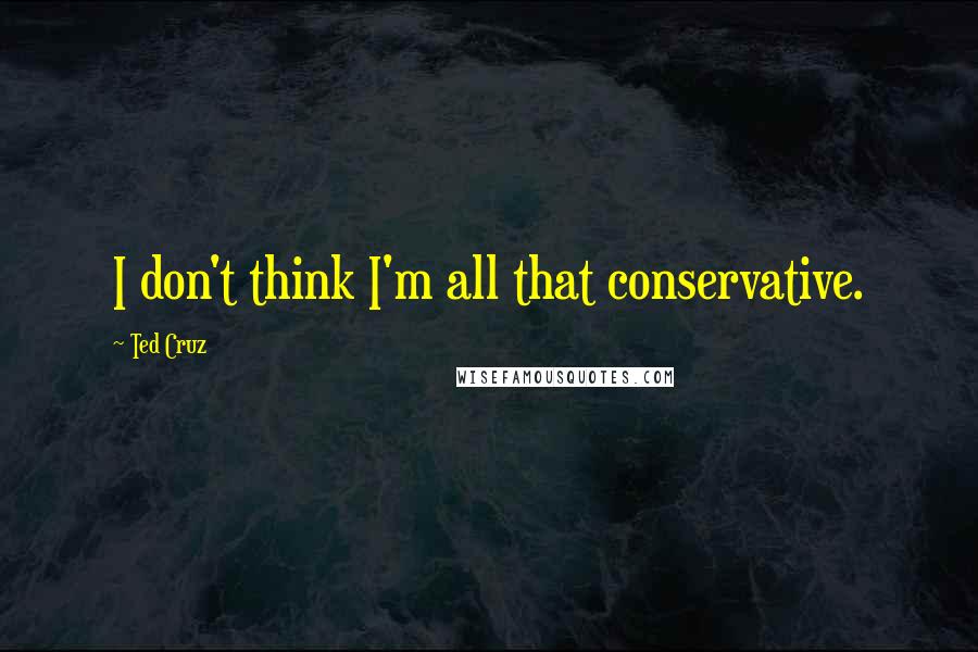 Ted Cruz Quotes: I don't think I'm all that conservative.