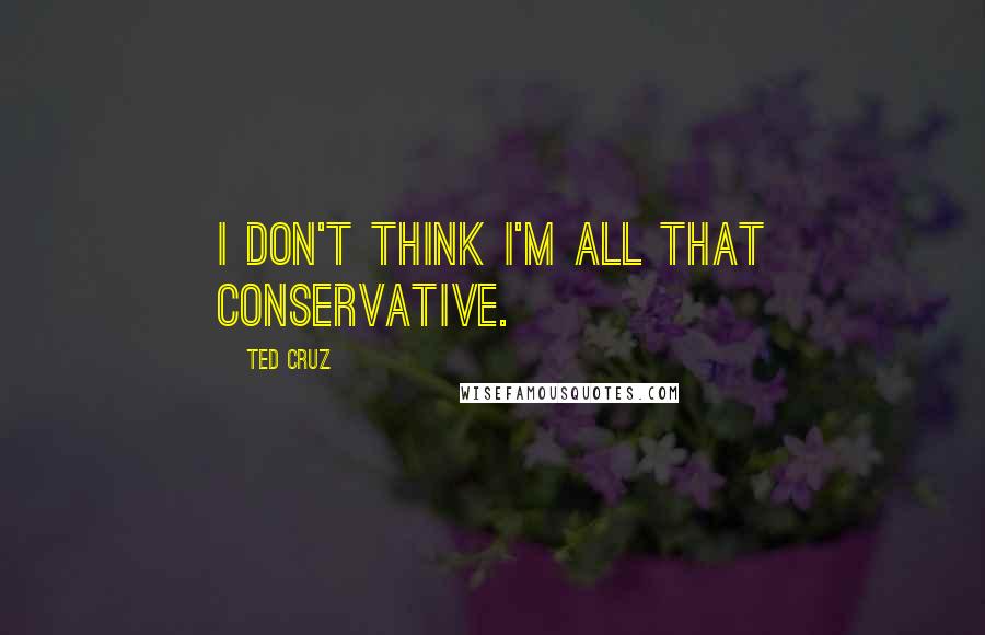 Ted Cruz Quotes: I don't think I'm all that conservative.