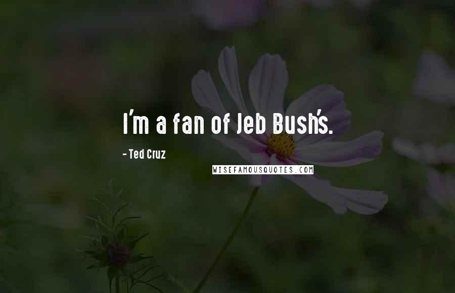 Ted Cruz Quotes: I'm a fan of Jeb Bush's.