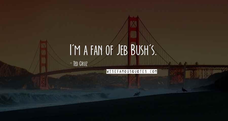 Ted Cruz Quotes: I'm a fan of Jeb Bush's.