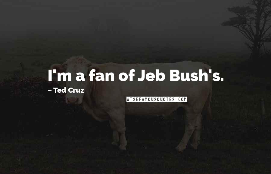 Ted Cruz Quotes: I'm a fan of Jeb Bush's.