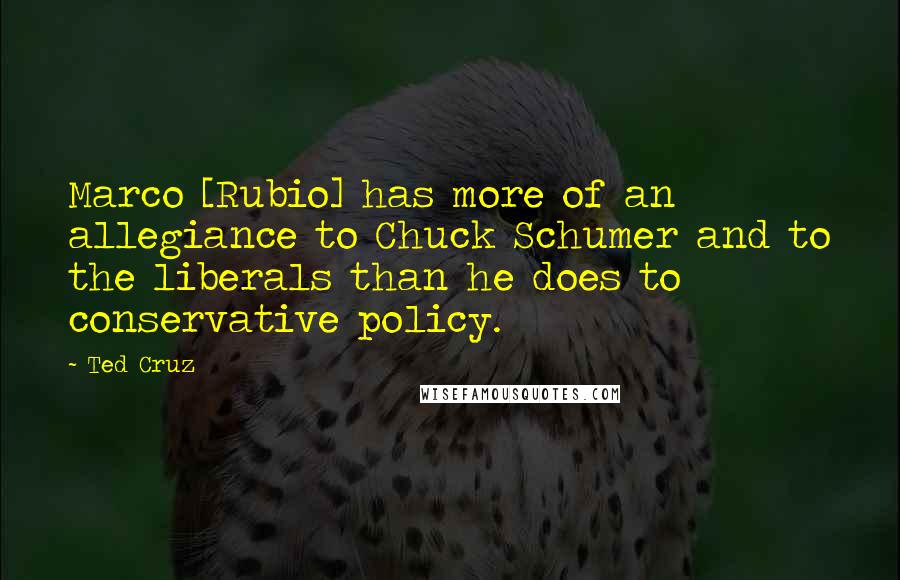 Ted Cruz Quotes: Marco [Rubio] has more of an allegiance to Chuck Schumer and to the liberals than he does to conservative policy.